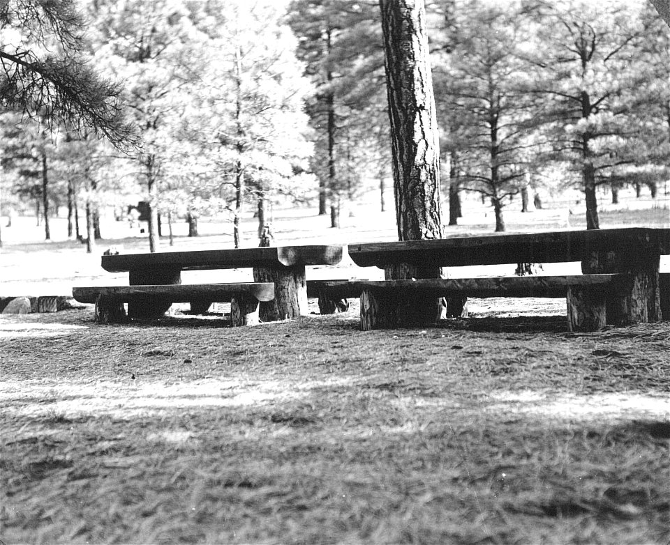 Historic Photo - Cibola NF & NG