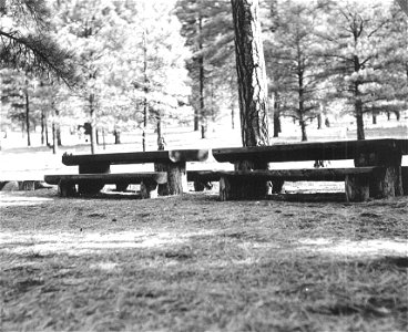 Historic Photo - Cibola NF & NG