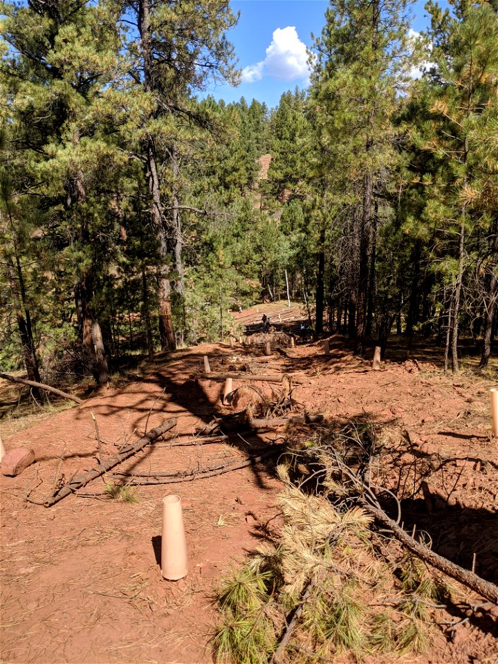 Mt. Taylor RD Road Restoration