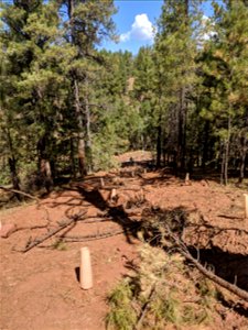 Mt. Taylor RD Road Restoration