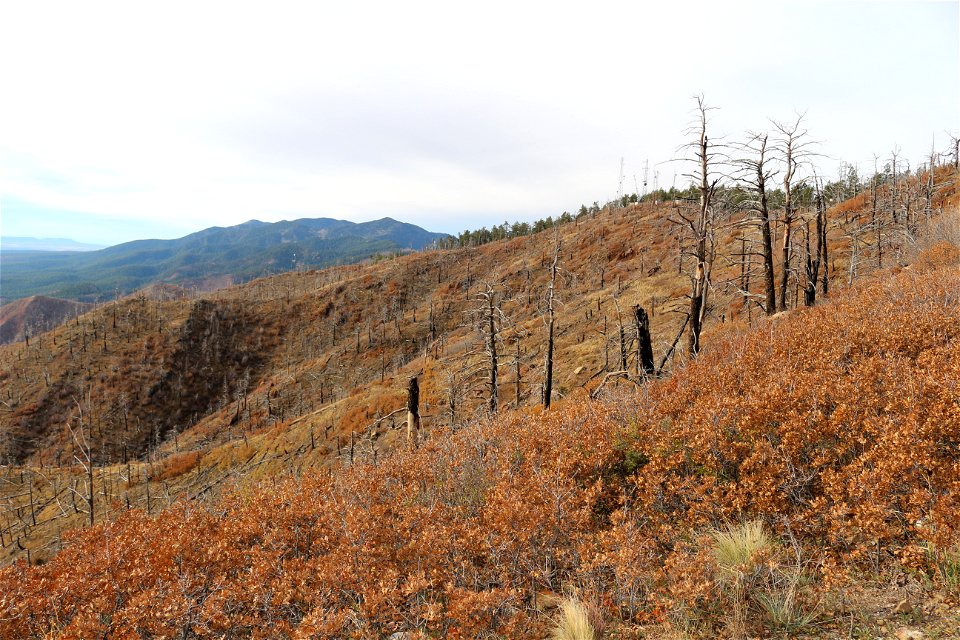 20181030-FS-CIB-MountainairRD-003