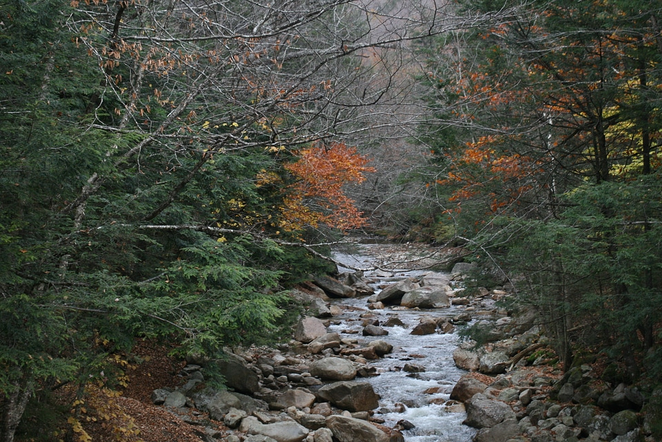 New Hampshire autumn stream in the white mountains area