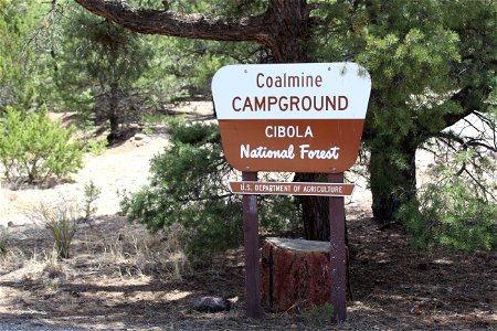 Mt Taylor RD Coal Mine Campground