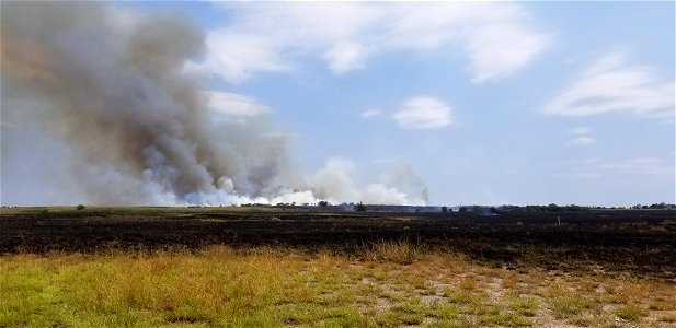 20180801-CIB-BlackKettleNGsRxBurn-04