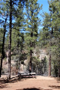 Sandia Ranger District – Pine Flat Picnic Area