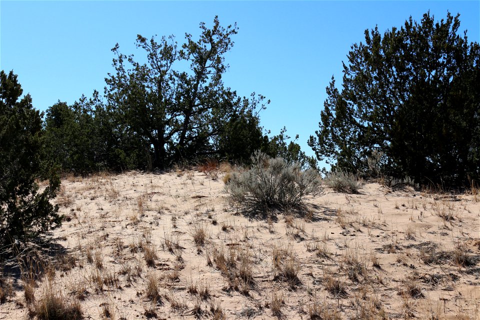 Gallinas Mountains