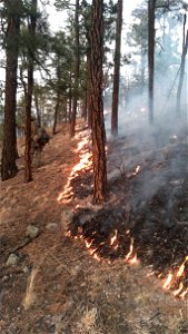 Magdalena RD Bear Trap Fire 2022