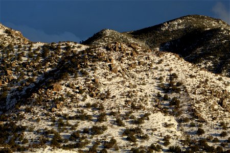 Sandia Ranger District photo