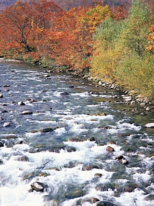Colorful autumn sunrise in mountains river
