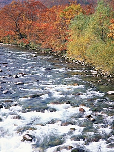 Colorful autumn sunrise in mountains river photo