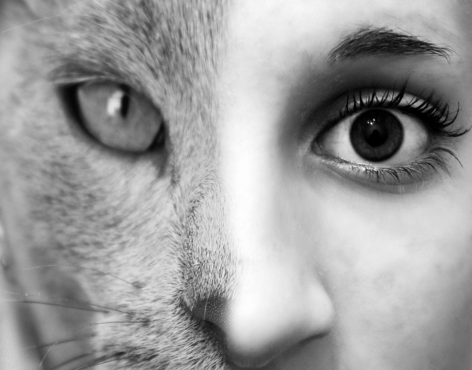 Eye animal girl