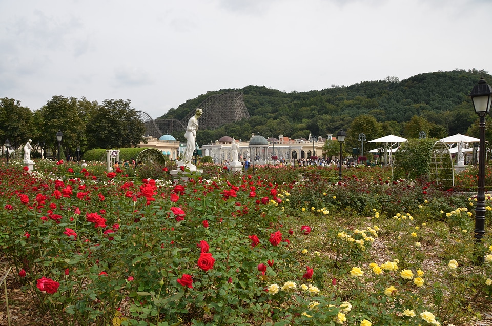 Everland photo