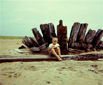 Family Slides (332)