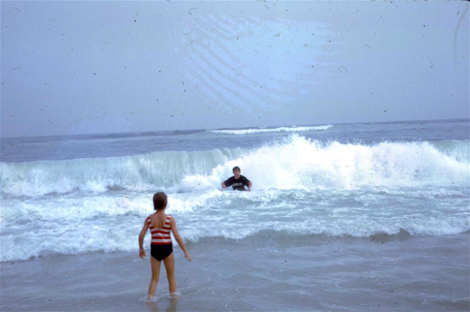 Family Slides (299)