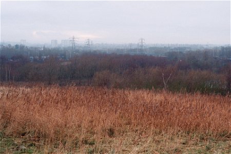View from Bidston Newlands