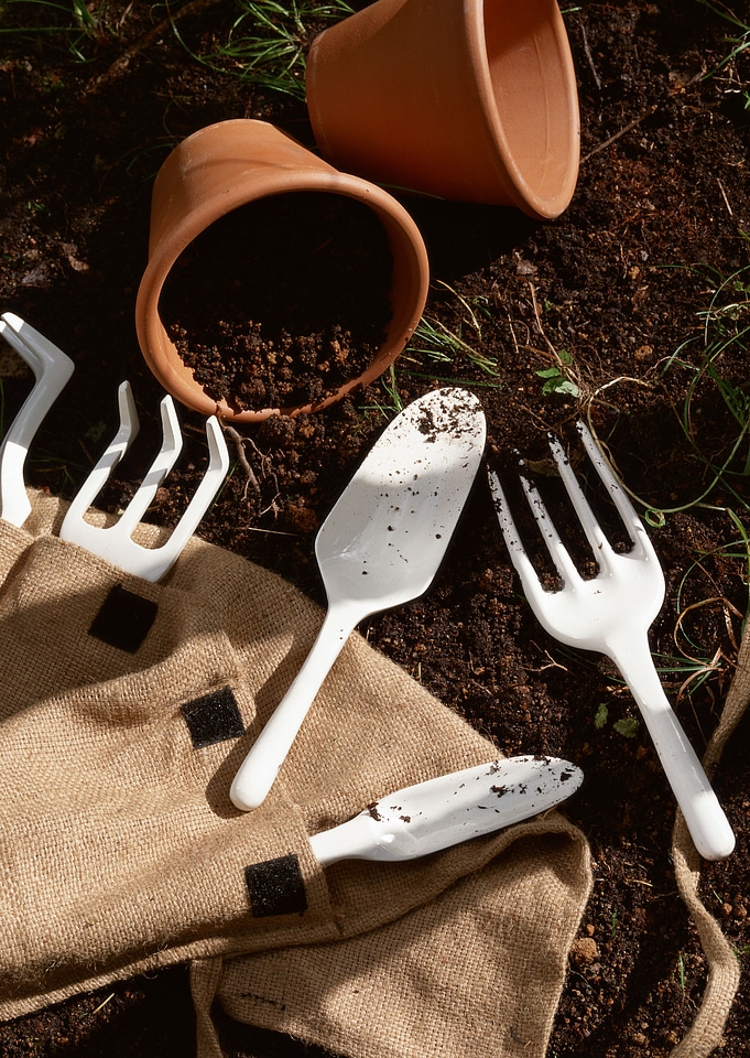 gardening tools and seedling in soil surface