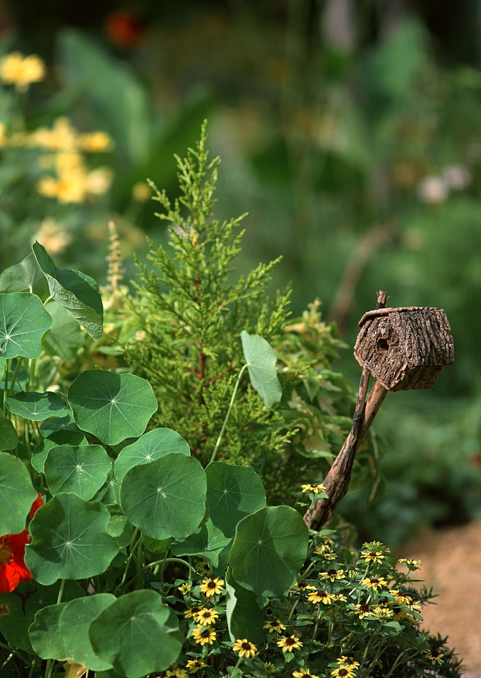Birdhouse in garden outdoors