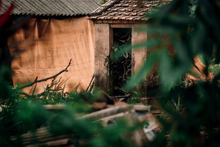 traiphong (74 of 164)