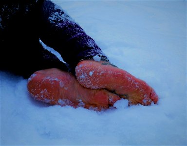 Timi's Bare Feet photo