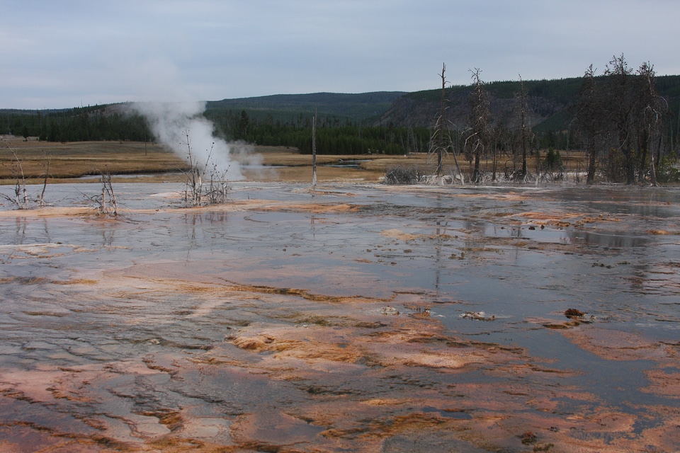 Old Faithful Geyser in Yellowstone National Park