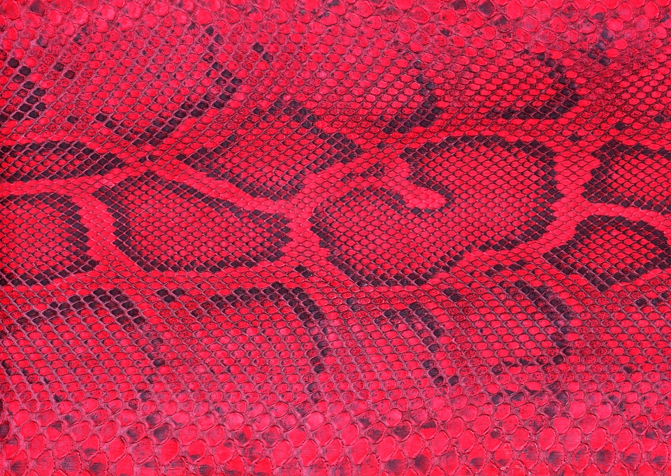 background of sneak skin texture