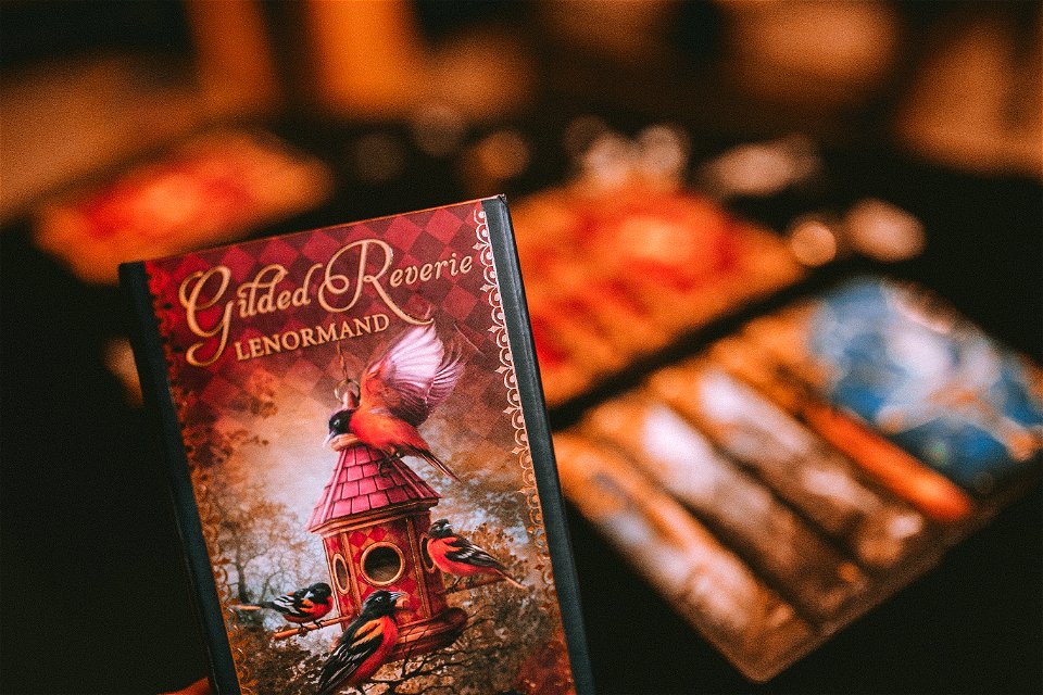 tarot (16 of 137)