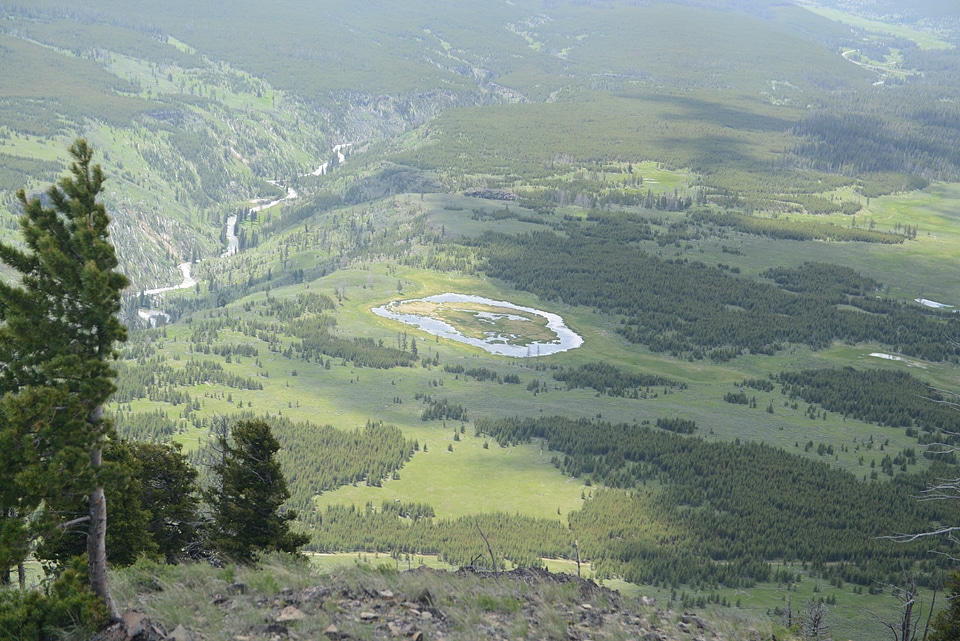 Bunsen Peak Trail. Yellowstone national park