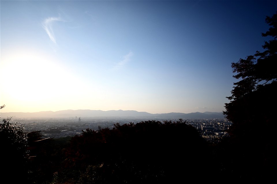 伏見稲荷/Fushimi Inari Shrine