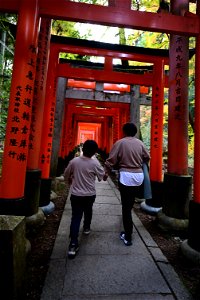 伏見稲荷/Fushimi Inari Shrine