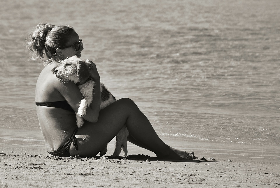young woman with her dog on the beach watching the sunset