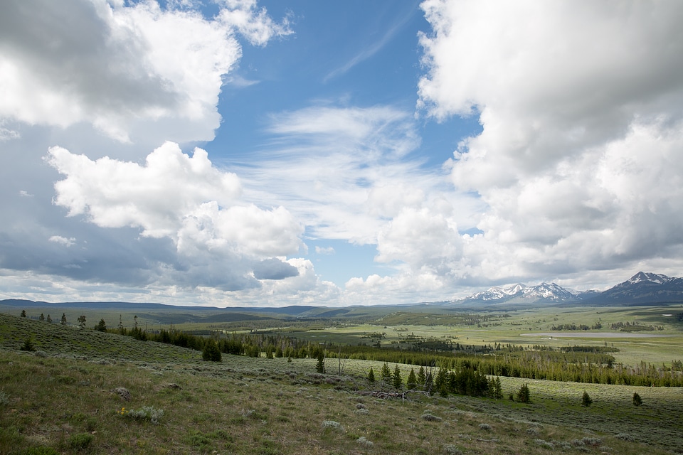 Bunsen Peak Trail. Yellowstone national park
