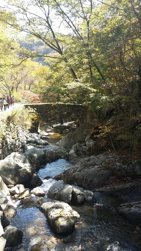 Forest river, beautiful landscape of National Park