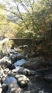 Forest river, beautiful landscape of National Park