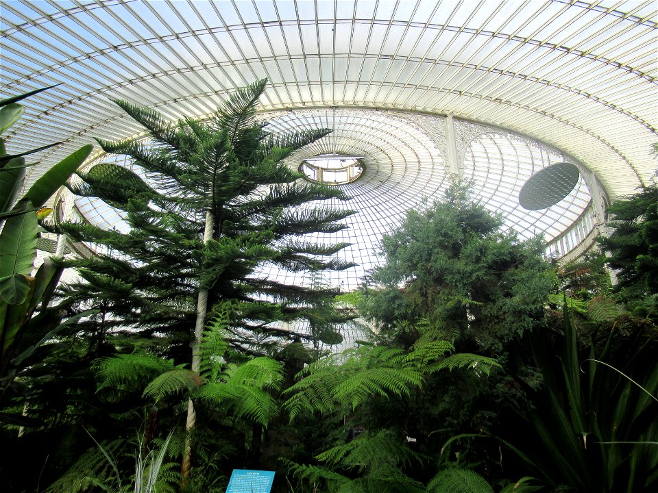 Glasgow Botanic Gardens