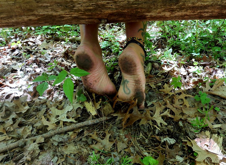 Timi's Feet photo