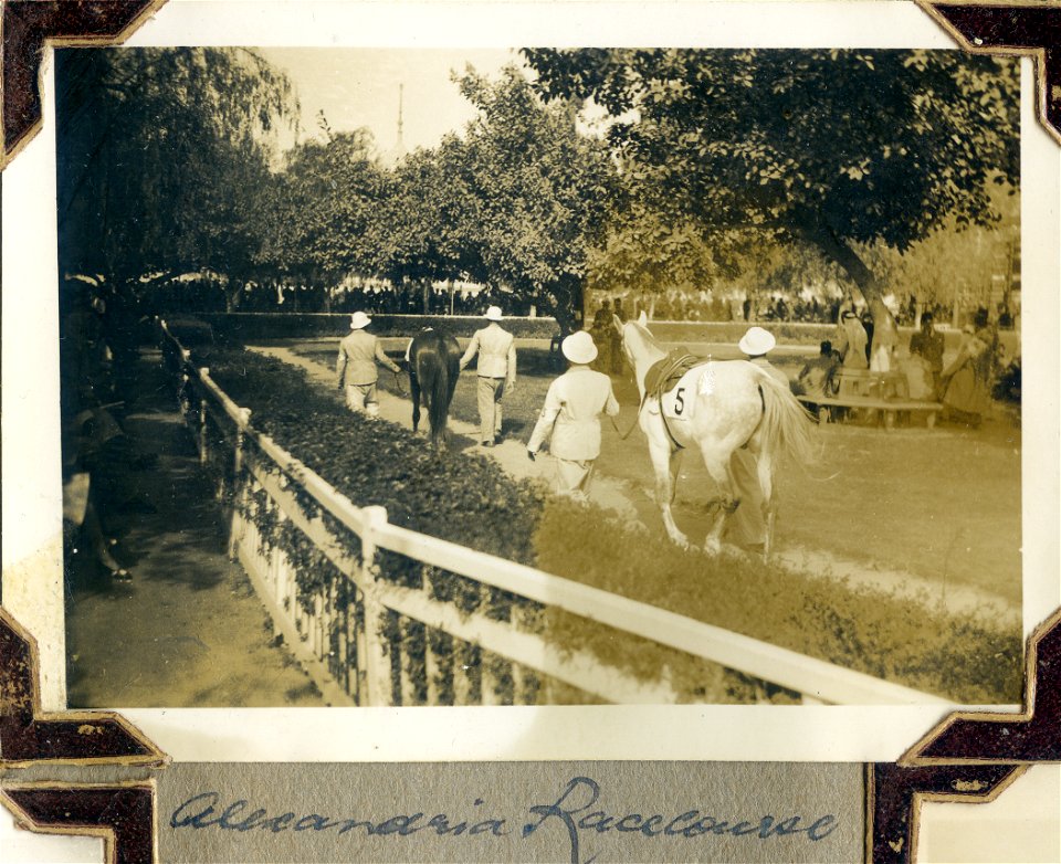 Alexandria Racecourse, Egypt