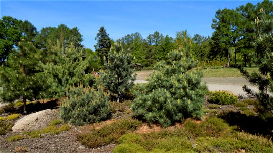 Hryshko National Botanical Garden