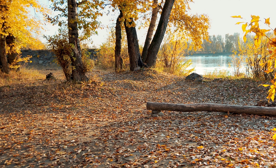 Bank of the river all strewn with autumn leaves