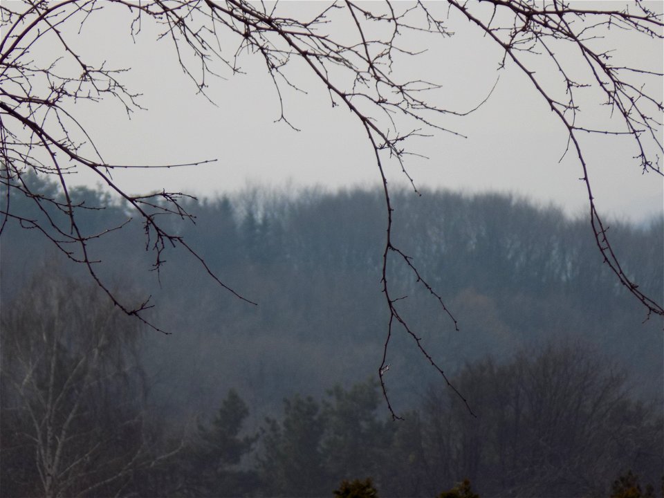 Hryshko National Botanical Garden