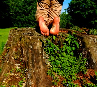 Timi's Feet photo