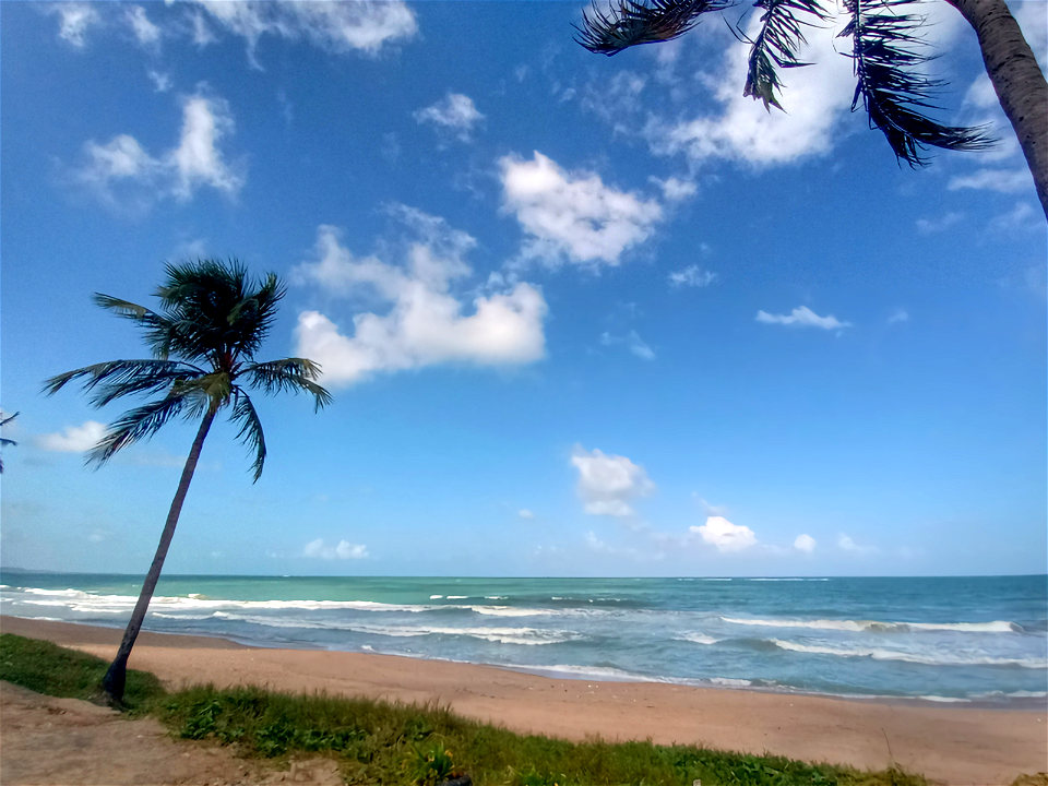 Cruz das Almas, Maceió