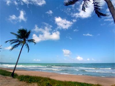 Cruz das Almas, Maceió photo