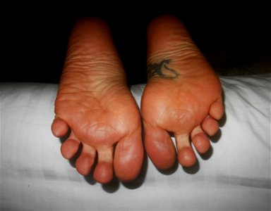 Timi's Feet photo