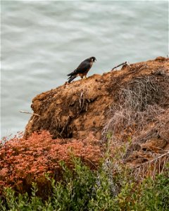 20210701-IMG_4898