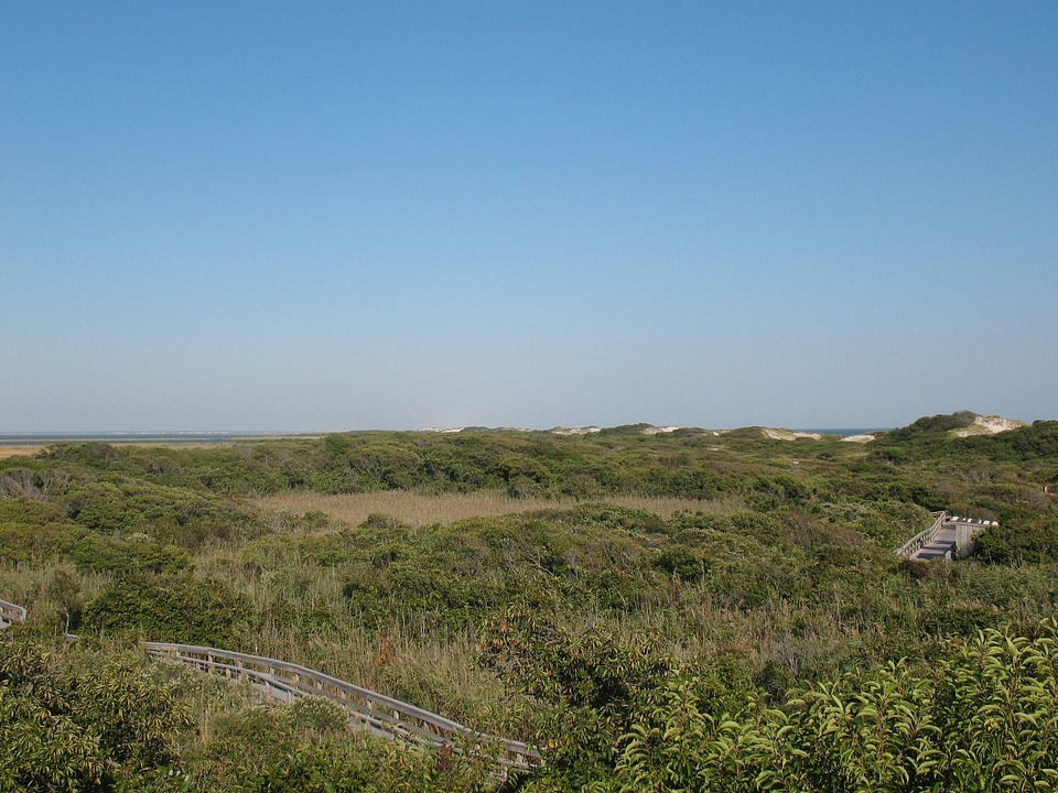 Watch Hill Nature Trail