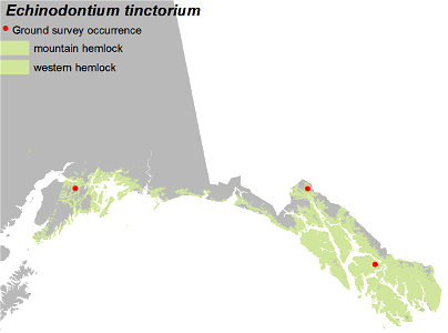 Echinodontium-tinctorium-Paint-Fungus-detection-map-Alaska