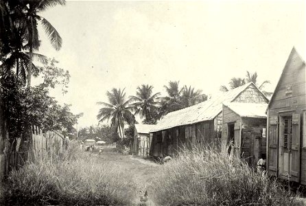 Pointe-à-Pitre.Rue Anatole-Léger en 1900