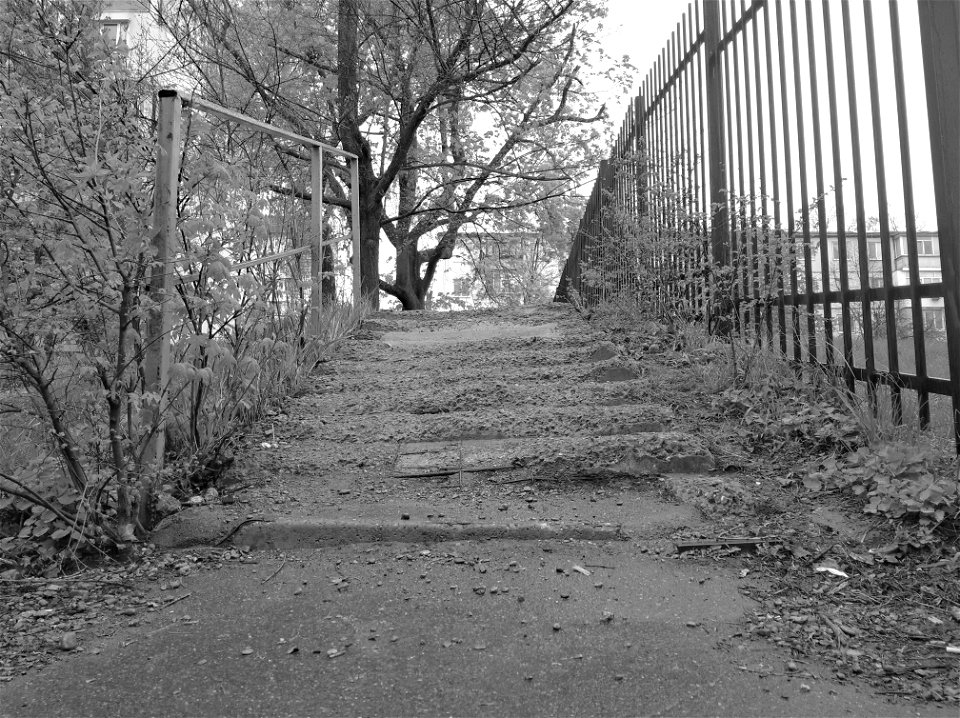 Steps, Ciocana