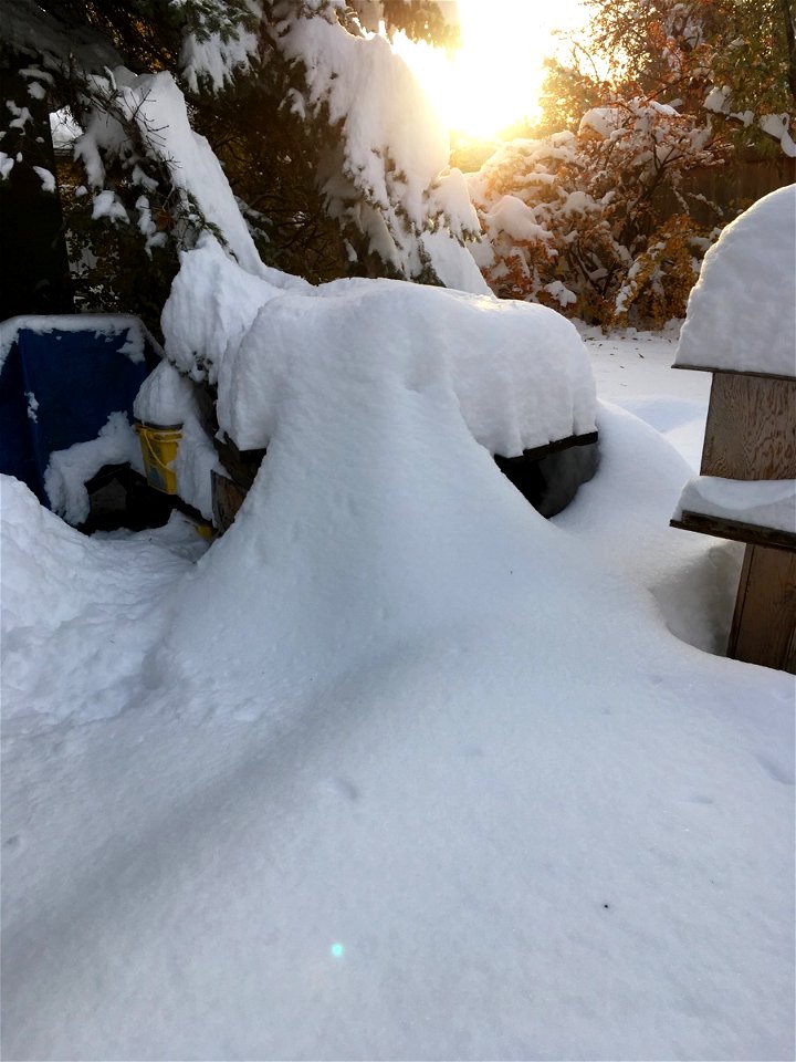 Hey, what happened to my picnic table??