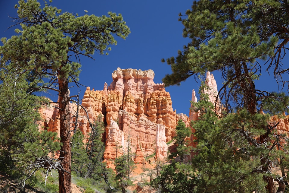 Bryce Canyon National Park at Navajo Loop Trail, Utah